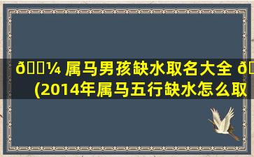 🌼 属马男孩缺水取名大全 🐛 (2014年属马五行缺水怎么取名)